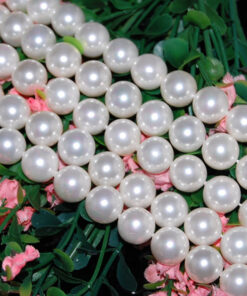 9-10mm white color shell pearl strand shell pearl beads wholesale