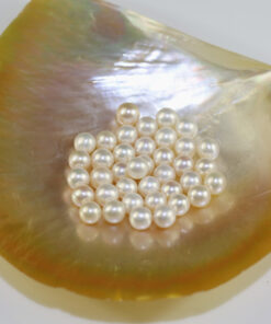 11-12mm AA+ wholesale natural loose half drilled freshwater pearls